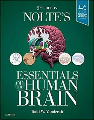Nolte&#39;s Essentials of the Human Brain: 2nd Edition