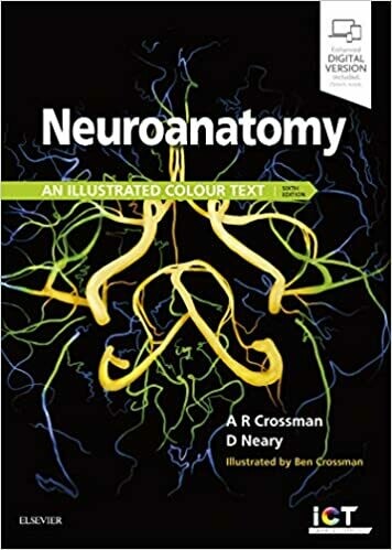 Neuroanatomy: an Illustrated Colour Text 6th Edition