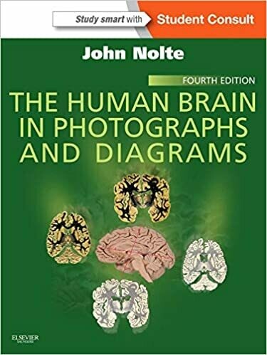 The Human Brain in Photographs and Diagrams: 4th Edition