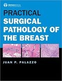 Practical Surgical Pathology of the Breast 1st Edition