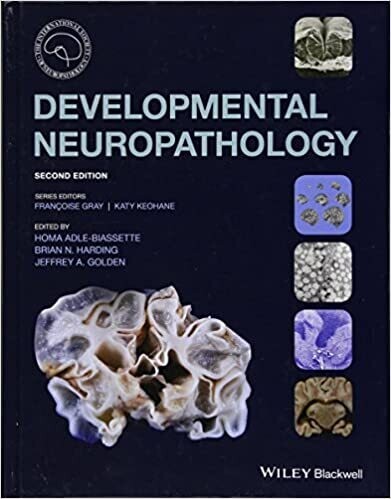 Developmental Neuropathology (International Society of Neuropathology Series) 2nd Edition