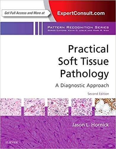 Practical Soft Tissue Pathology: A Diagnostic Approach: A Volume in the Pattern Recognition Series 2nd Edition