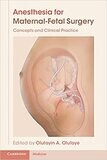 Anesthesia for Maternal-Fetal Surgery: Concepts and Clinical Practice