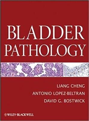 Bladder Pathology 1st Edition,