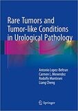 Rare Tumors and Tumor-like Conditions in Urological Pathology 2015th Edition