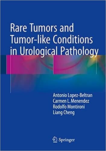 Rare Tumors and Tumor-like Conditions in Urological Pathology 2015th Edition