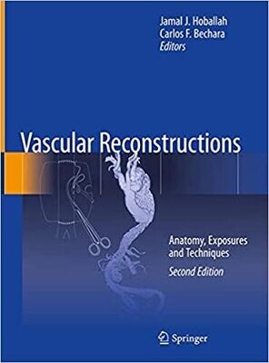 Vascular Reconstructions: Anatomy, Exposures and Techniques 2nd ed. 2021 Edition