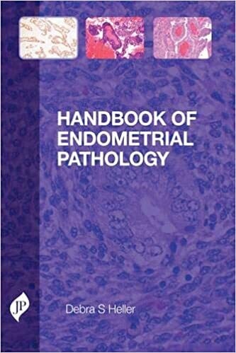 Handbook of Endometrial Pathology 1st Edition