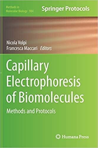 Capillary Electrophoresis of Biomolecules: Methods and Protocols (Methods in Molecular Biology, 984) 2013th Edition