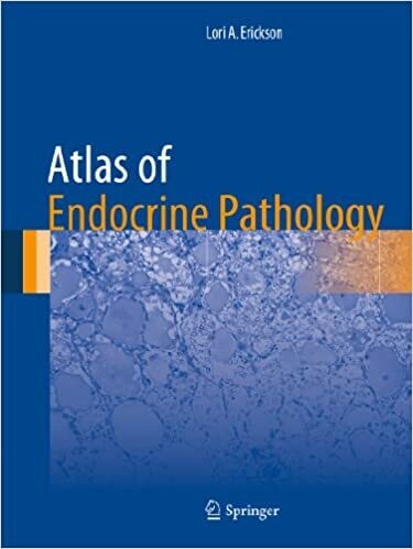 Atlas of Endocrine Pathology (Atlas of Anatomic Pathology) 2014th Edition