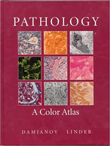 Pathology: A Color Atlas 1st Edition