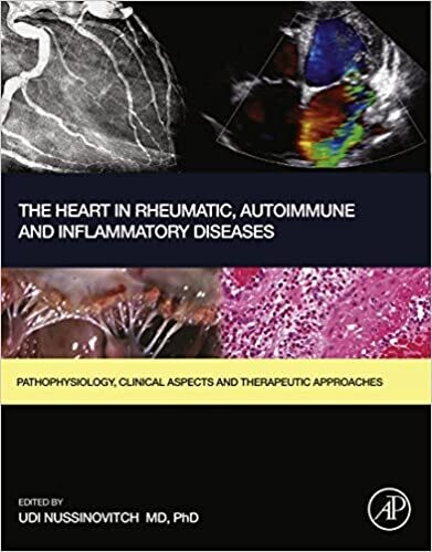 The Heart in Rheumatic, Autoimmune and Inflammatory Diseases: Pathophysiology, Clinical Aspects and Therapeutic Approaches 1st Edition