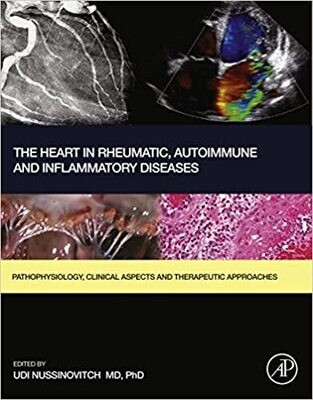 The Heart in Rheumatic, Autoimmune and Inflammatory Diseases: Pathophysiology, Clinical Aspects and Therapeutic Approaches 1st Edition