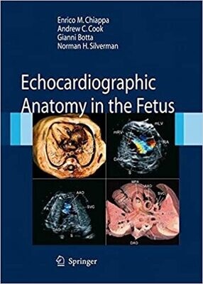 Echocardiographic Anatomy in the Fetus 2008th Edition