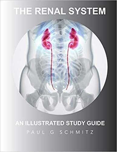 The Renal System: An Illustrated Guide
