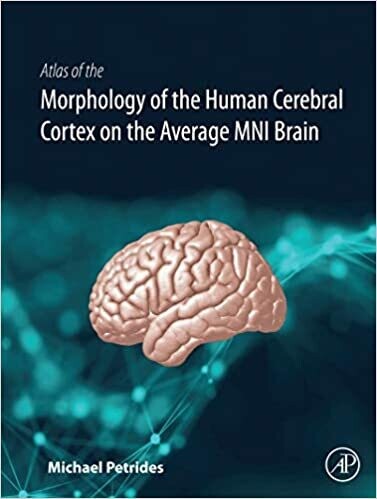Atlas of the Morphology of the Human Cerebral Cortex on the Average MNI Brain 1st Edition