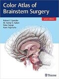 Color Atlas of Brainstem Surgery 1st Edition