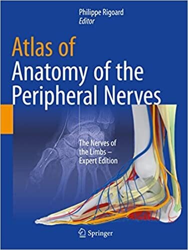 Atlas of Anatomy of the peripheral nerves: The Nerves of the Limbs – Expert Edition 1st Edition