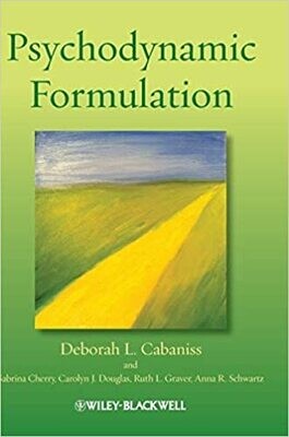 Psychodynamic Formulation 1st Edition