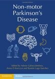 Non-motor Parkinson&#39;s Disease