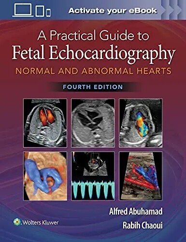 A Practical Guide to Fetal Echocardiography Normal and Abnormal Hearts 4th Edition 2022