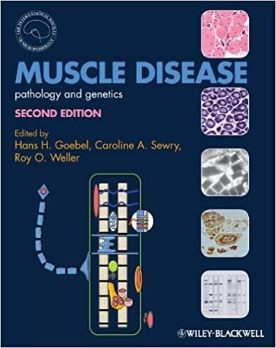 Muscle Disease: Pathology and Genetics 2nd Edition