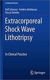 Extracorporeal Shock Wave Lithotripsy: In Clinical Practice 1st ed. 2019 Edition