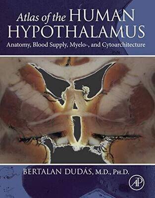 Atlas of the Human Hypothalamus: Anatomy, Blood Supply, Myelo-, and Cytoarchitecture 1st Edition