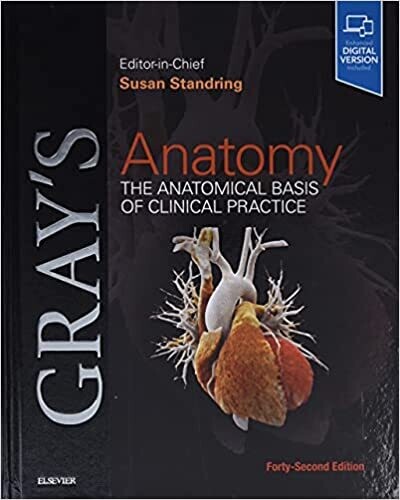 Gray&#39;s Anatomy: The Anatomical Basis of Clinical Practice 42nd Edition