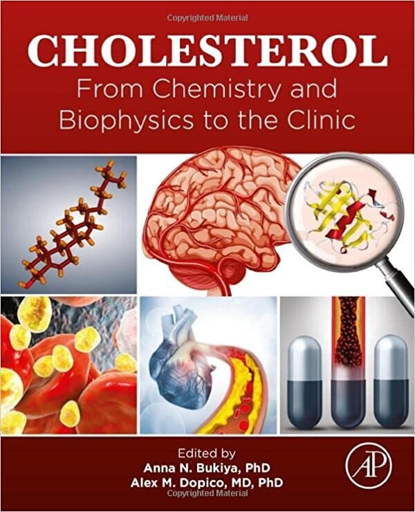 Cholesterol: From Chemistry and Biophysics to the Clinic 1st Edition
