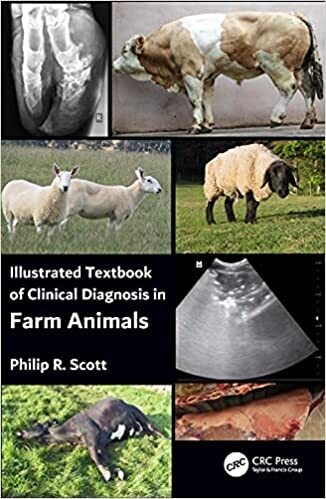 Illustrated Textbook of Clinical Diagnosis in Farm Animals 1st Edition