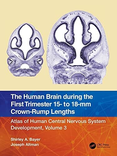 The Human Brain during the First Trimester 15- to 18-mm Crown-Rump Lengths: Atlas of Human Central Nervous System Development, Volume 3 1st Edition