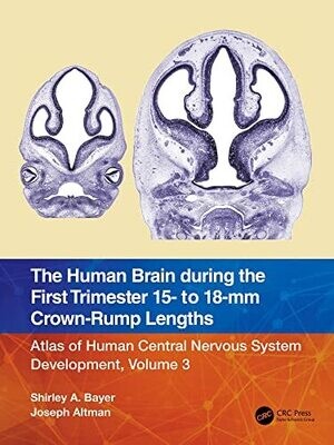 The Human Brain during the First Trimester 15- to 18-mm Crown-Rump Lengths: Atlas of Human Central Nervous System Development, Volume 3 1st Edition