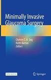 Minimally Invasive Glaucoma Surgery 1st ed. 2021 Edition