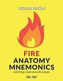 Fire Anatomy Mnemonics (and things made absurdly simple)