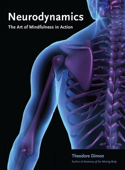Neurodynamics
The Art of Mindfulness in Action