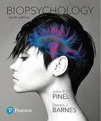 Biopsychology -- Books a la Carte (10th Edition)