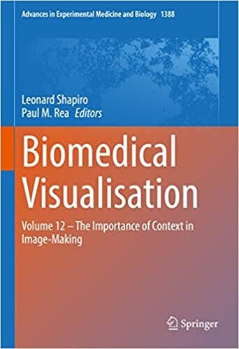 Biomedical Visualisation: Volume 12 ‒ The Importance of Context in Image-Making (Advances in Experimental Medicine and Biology Book 1388)