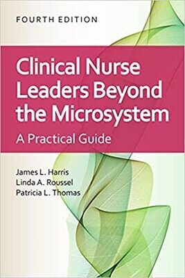 Clinical Nurse Leaders Beyond the Microsystem: A Practical Guide 4th Edition