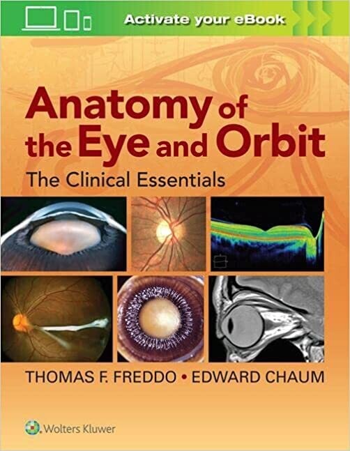Anatomy of the Eye and Orbit: The Clinical Essentials 1st Edition