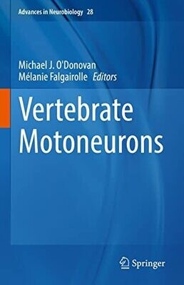 Vertebrate Motoneurons (Advances in Neurobiology Book 28)