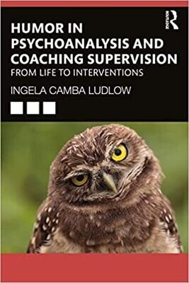 Humour in Psychoanalysis and Coaching Supervision 1st Edition