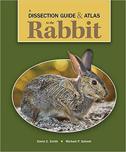 A Dissection Guide &amp; Atlas to the Rabbit 1st Edition