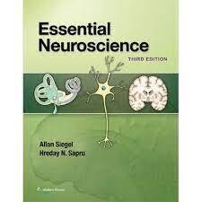 Essential Neuroscience