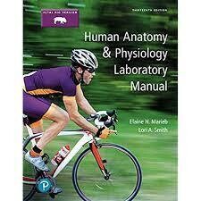 Human Anatomy &amp; Physiology Laboratory Manual, Cat Version 13th Edition