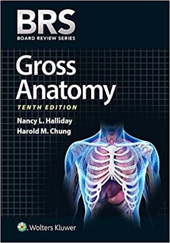 BRS Gross Anatomy (Board Review Series) Tenth, North American Edition