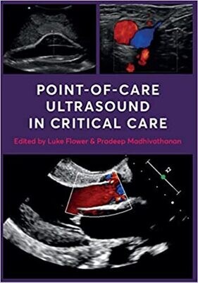 Point of Care Ultrasound in Critical Care