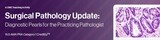 Surgical Pathology Update: Diagnostic Pearls for the Practicing Pathologist 2022 (Video Lectures)