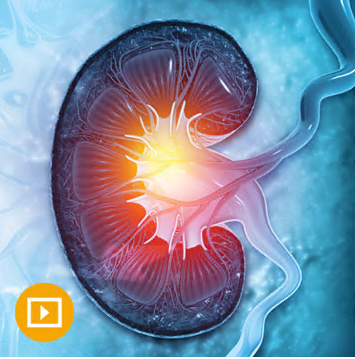 Intensive Review of Nephrology Video Lectures 2022