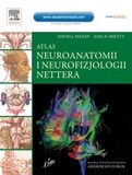 Netter’s Atlas of Neuroscience: with STUDENT CONSULT Online Access, 2nd